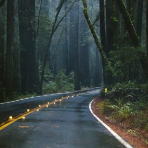 The Path to Liberation