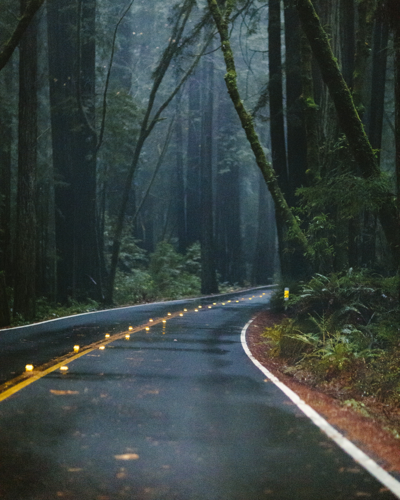 The Path to Liberation