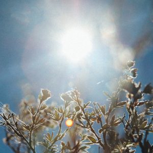 Unleash Abundance & Self-Trust